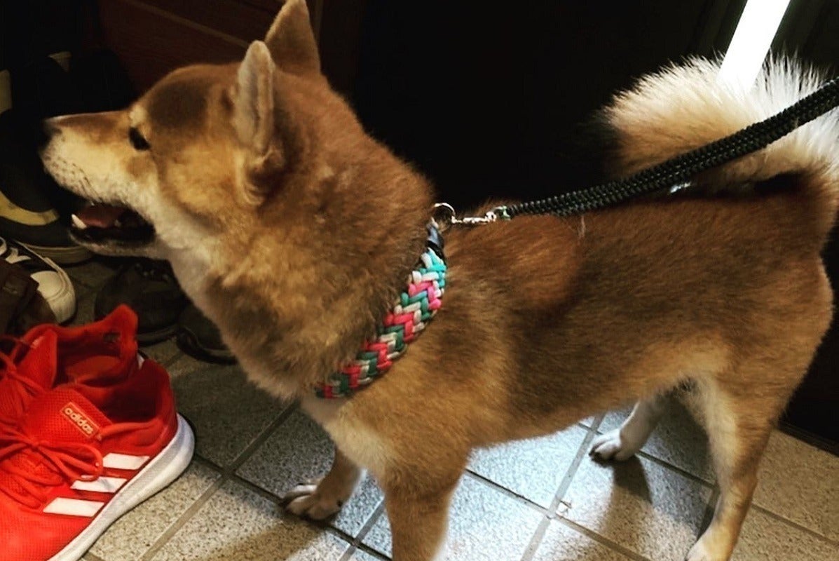 3番目のメイン画像