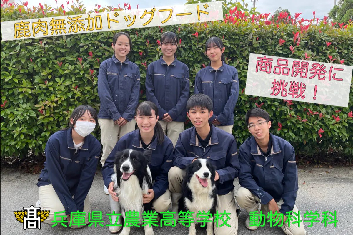 1番目のメイン画像