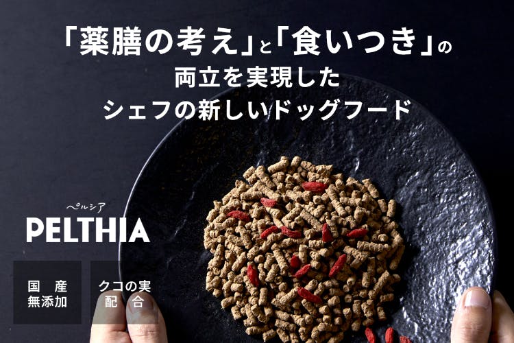 ドッグフードペルシア PELTHIA 1キロ×3袋 国産、無添加 ドッグフード