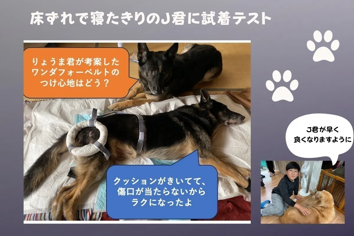 5番目のメイン画像