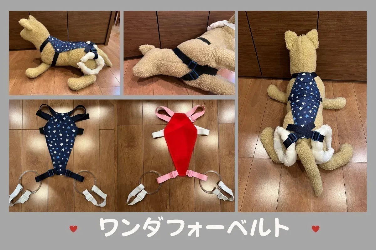 2番目のメイン画像