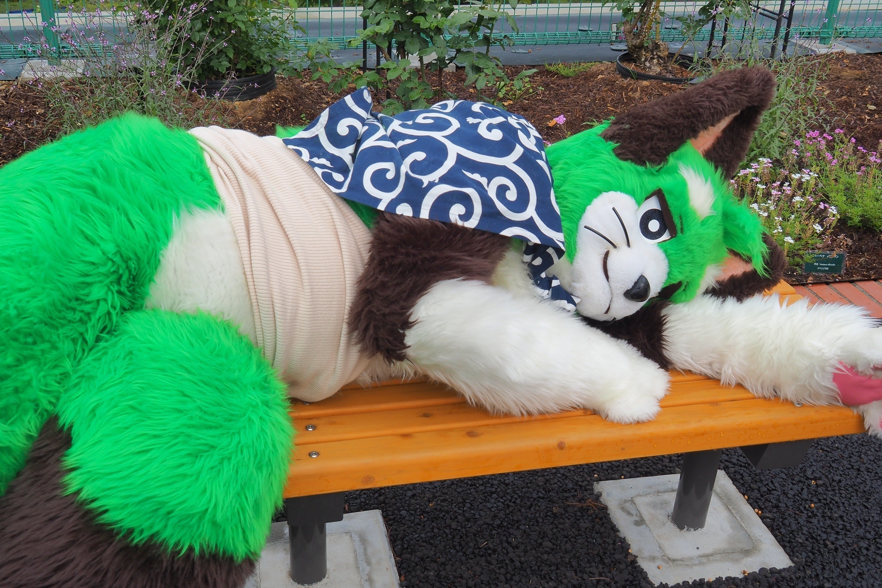 5番目のメイン画像