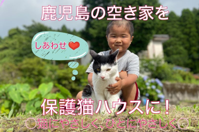 仮9 17 専用　譲渡