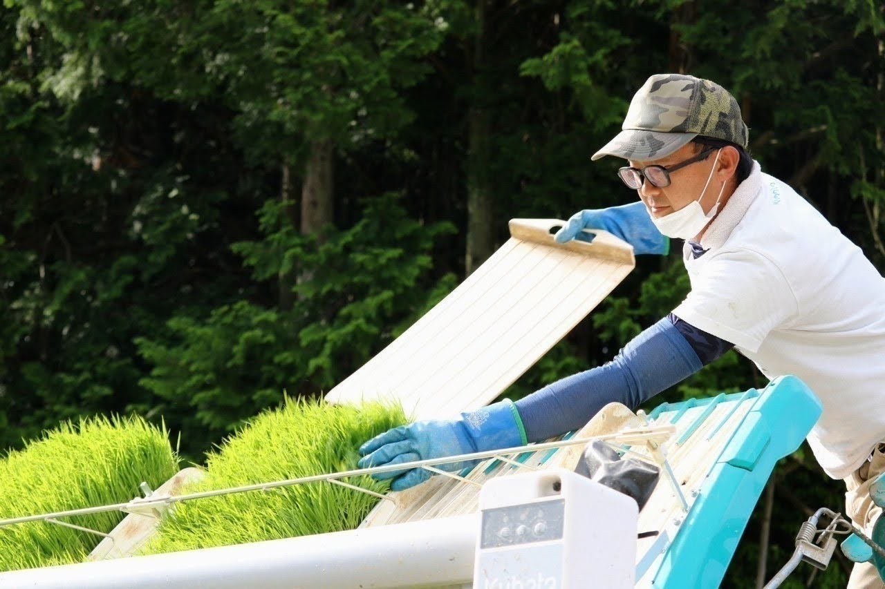 2番目のメイン画像