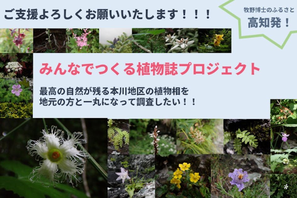 石鎚山系は本川地区から！みんなで作る植物誌プロジェクトを実施させてください！