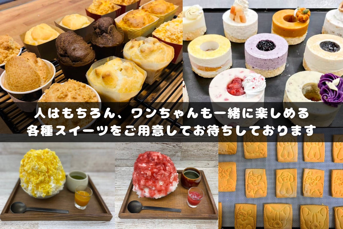 4番目のメイン画像