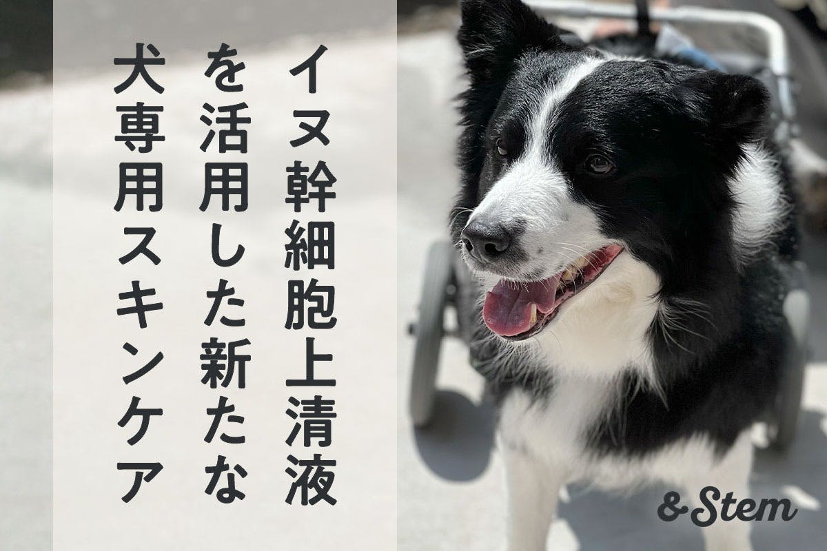 主要症状を基礎にした犬の臨床 - 参考書