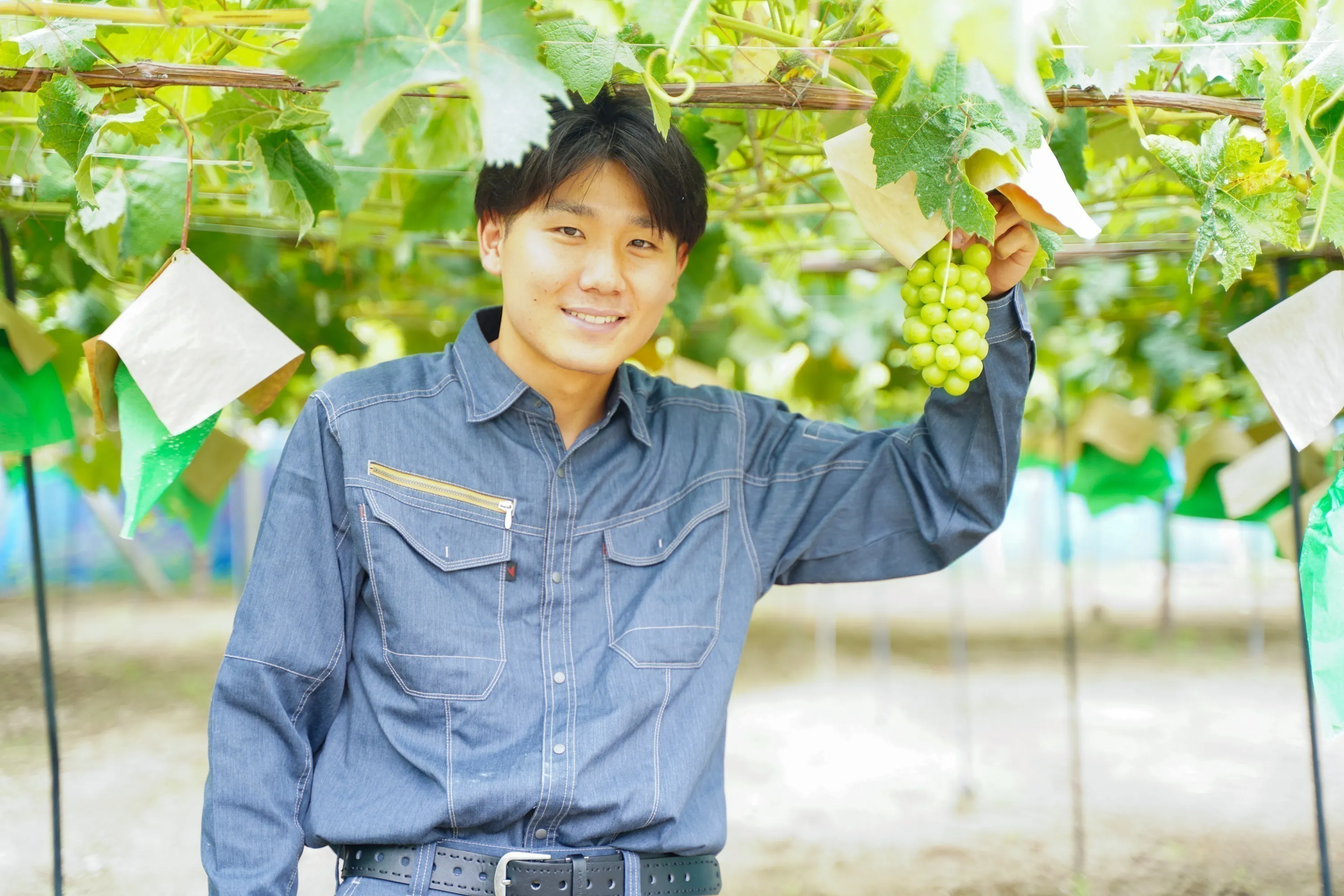 2番目のメイン画像