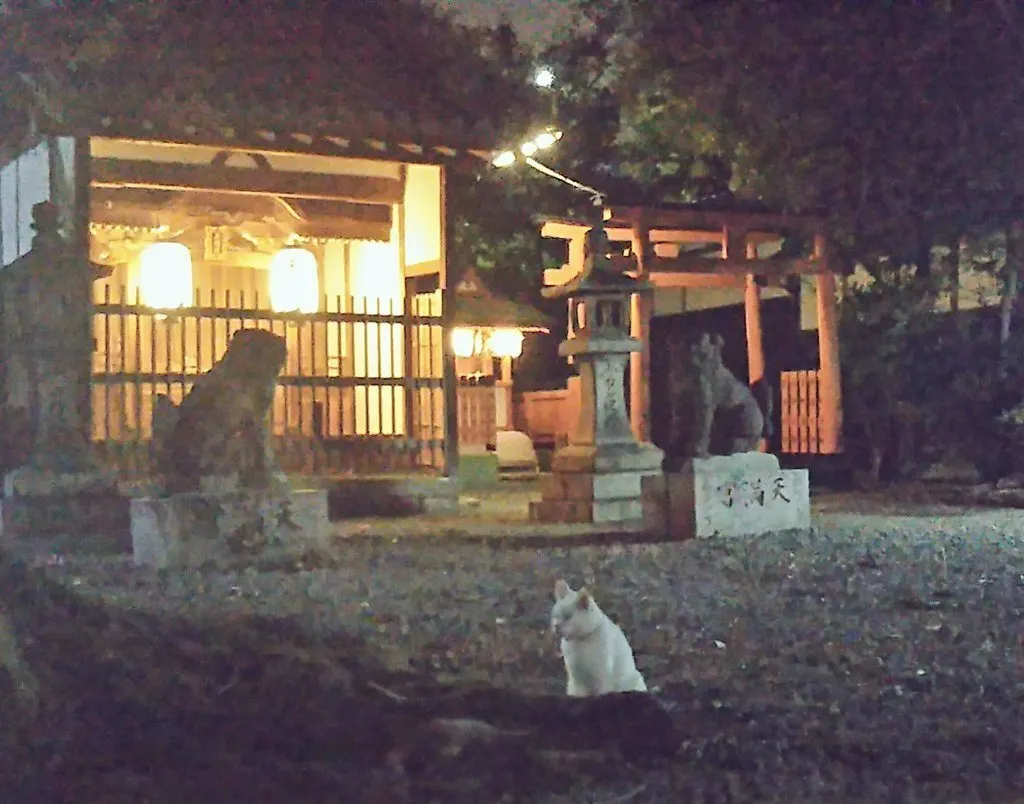 3番目のメイン画像