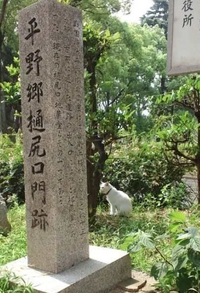 4番目のメイン画像