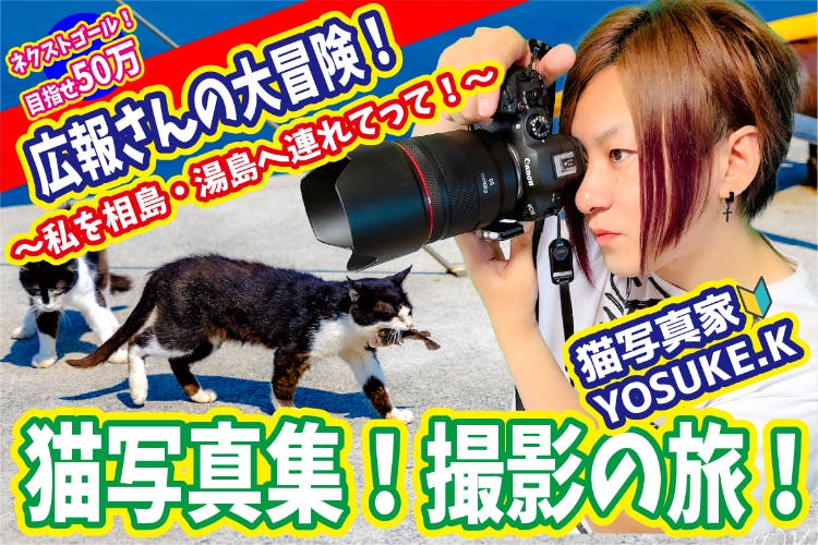 広報さんの大冒険！猫写真集！撮影の旅！ ～私を相島・湯島へ連れてって！～