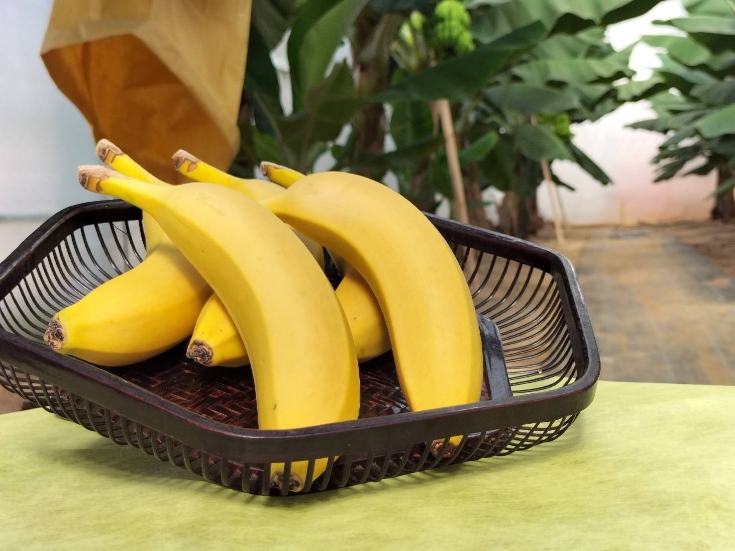 5番目のメイン画像