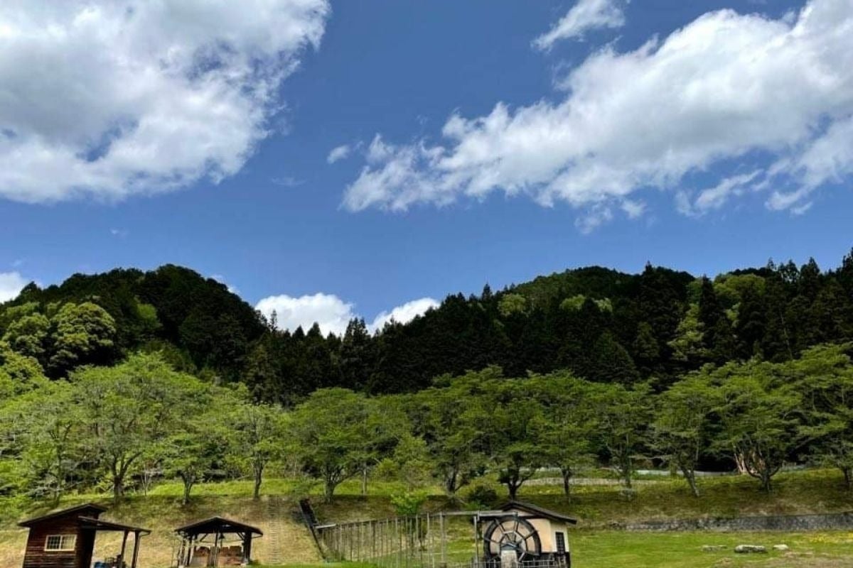 3番目のメイン画像