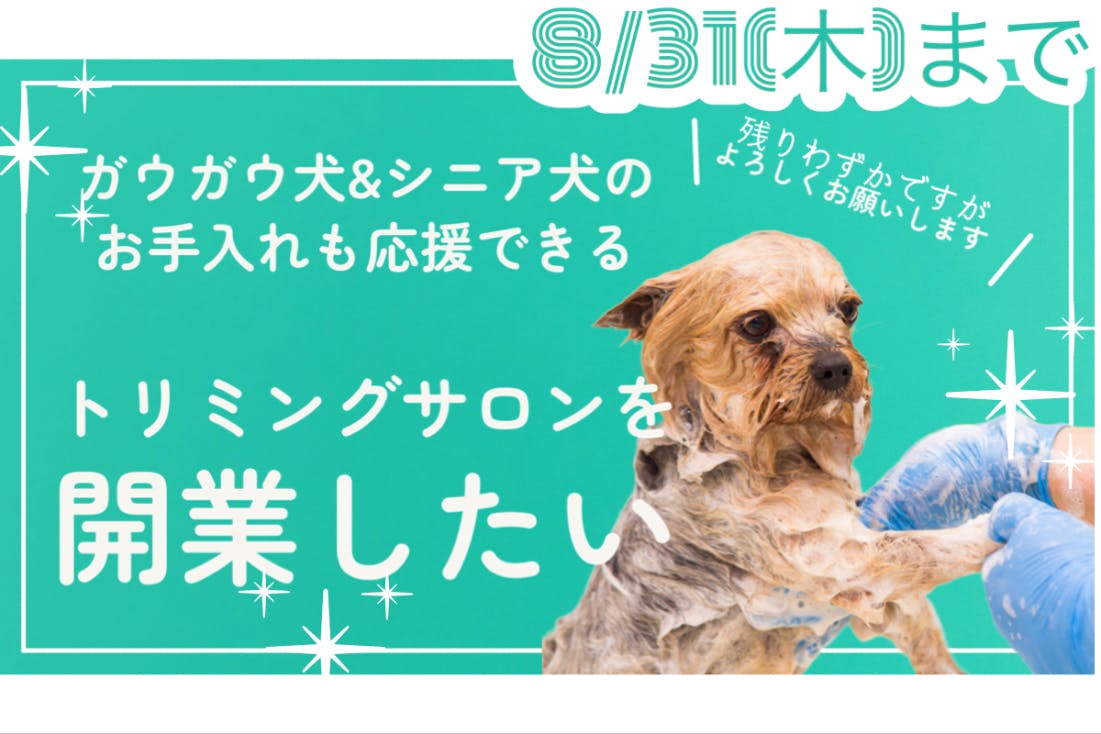 シニアさんやガウガウ犬も受け入れ可能なトリミングサロンを開業したい - CAMPFIRE (キャンプファイヤー)