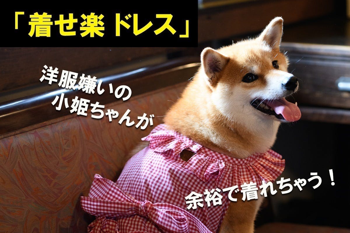犬服【ジャスミンさま】豆柴ちゃん