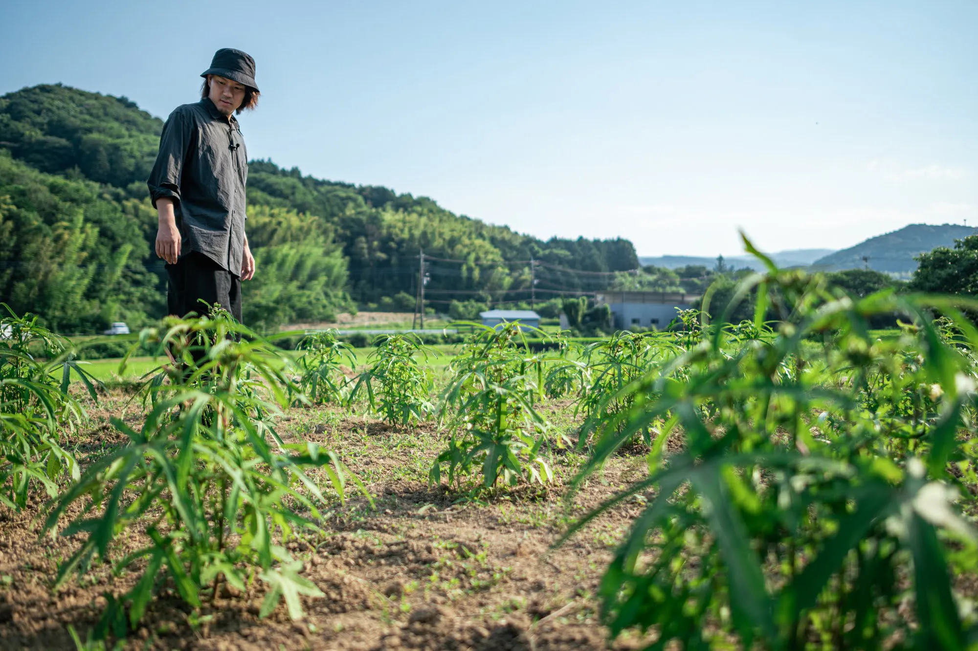 3番目のメイン画像