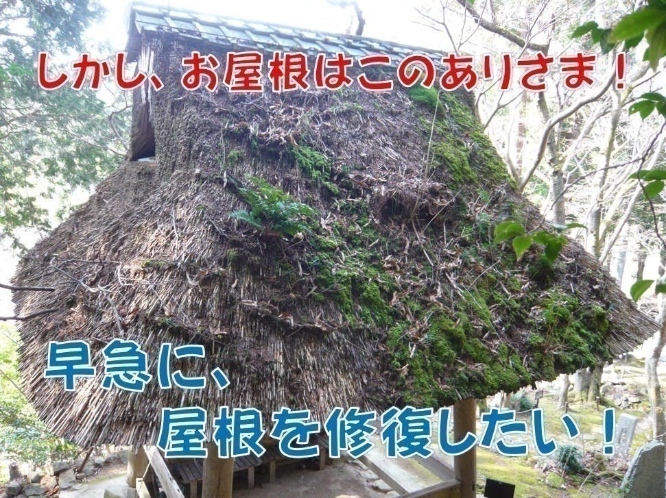 滋賀県・延寿寺の葦屋根の鐘楼風景を未来の子どもたちに残したい！ CAMPFIRE (キャンプファイヤー)