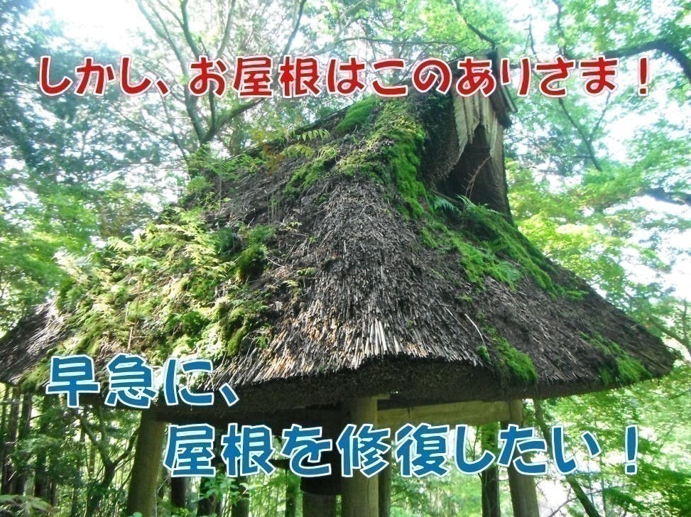 (キャンプファイヤー)　滋賀県・延寿寺の葦屋根の鐘楼風景を未来の子どもたちに残したい！　CAMPFIRE