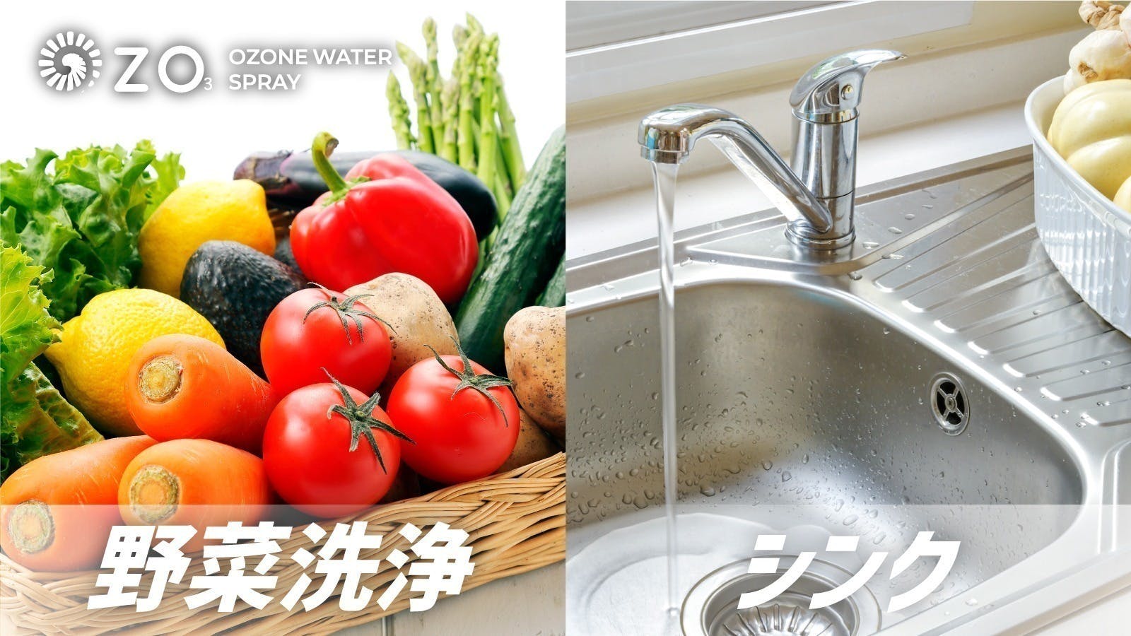 オゾン水生成器 次亜塩素酸水生成器 オゾン水発生器 果物と野菜の洗浄