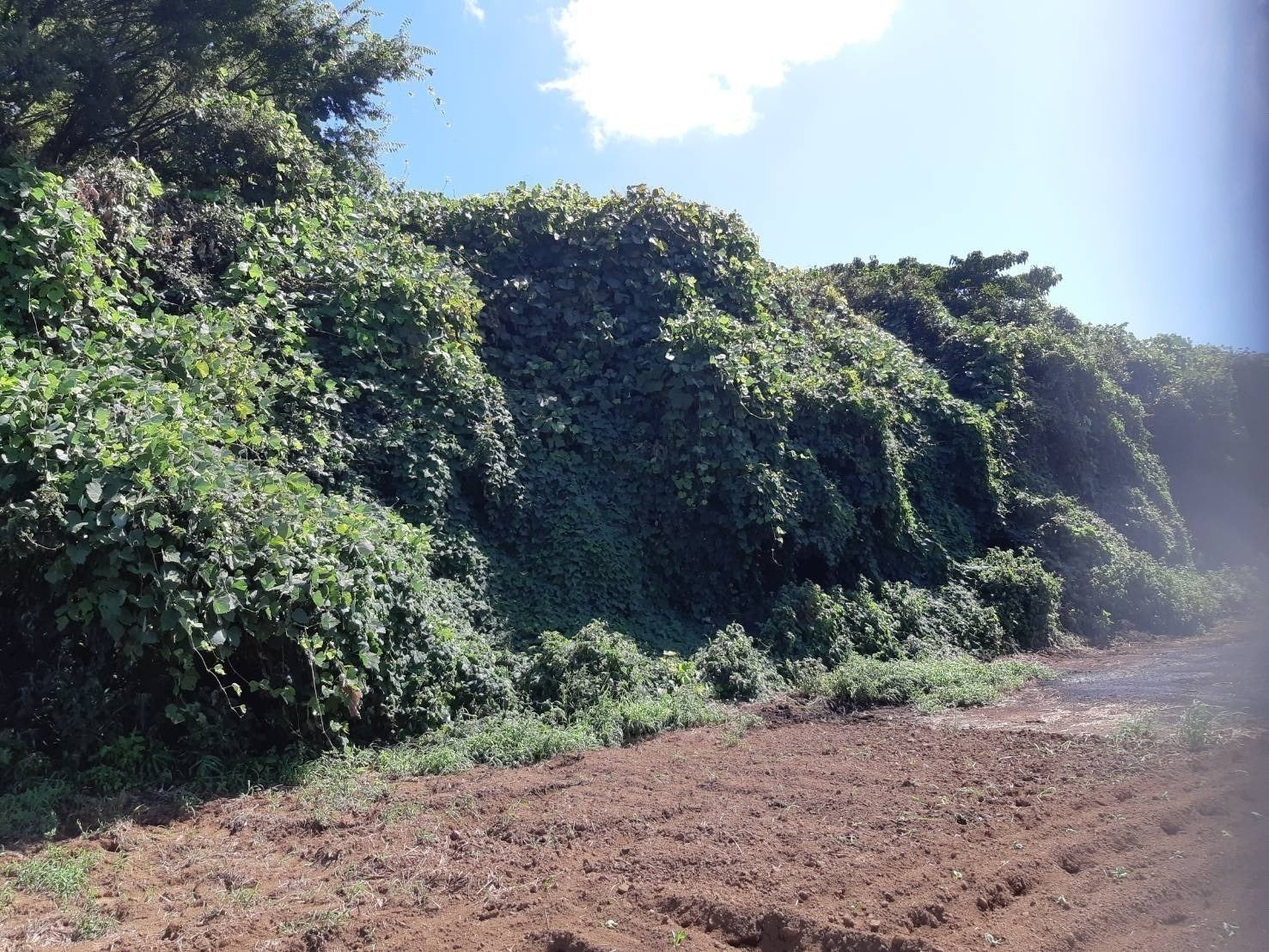 2番目のメイン画像