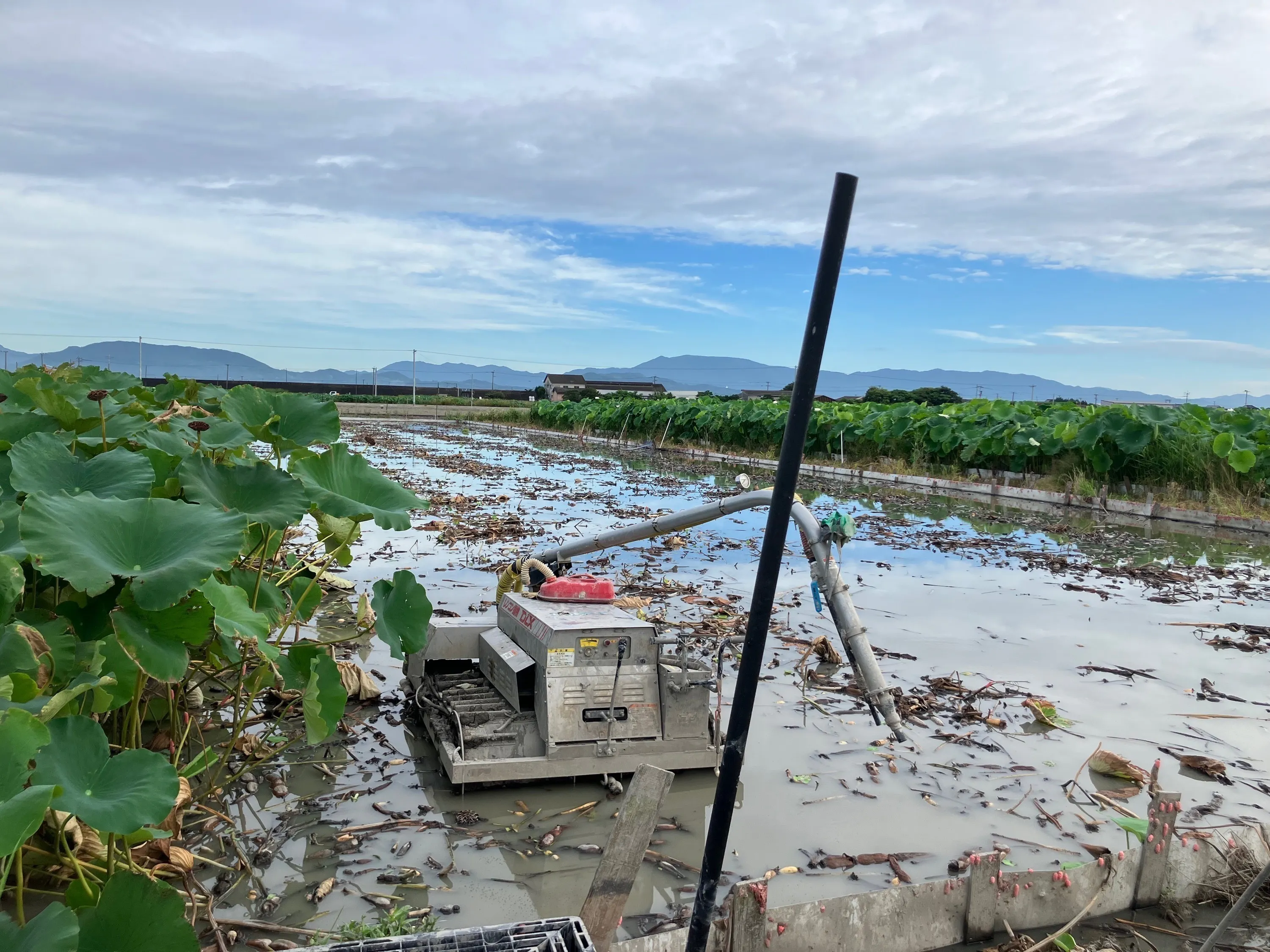 4番目のメイン画像