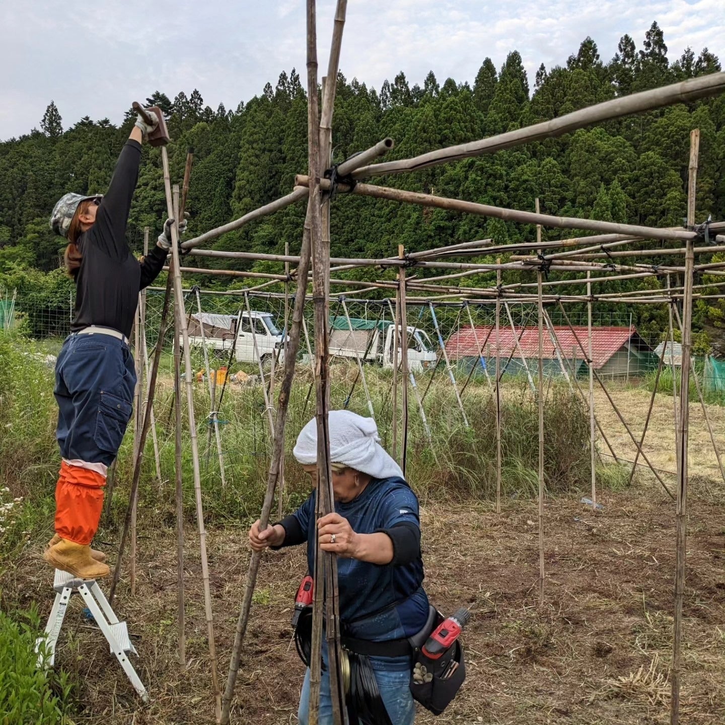 3番目のメイン画像
