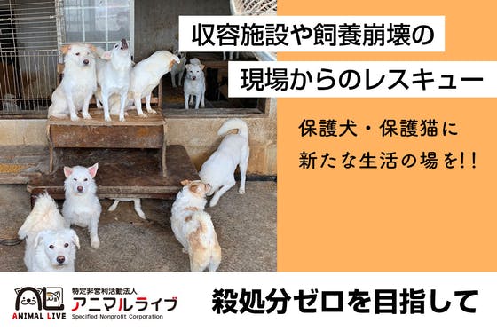 動物の殺処分ゼロを目指して〜保護犬、保護猫を新たな家族の元へ