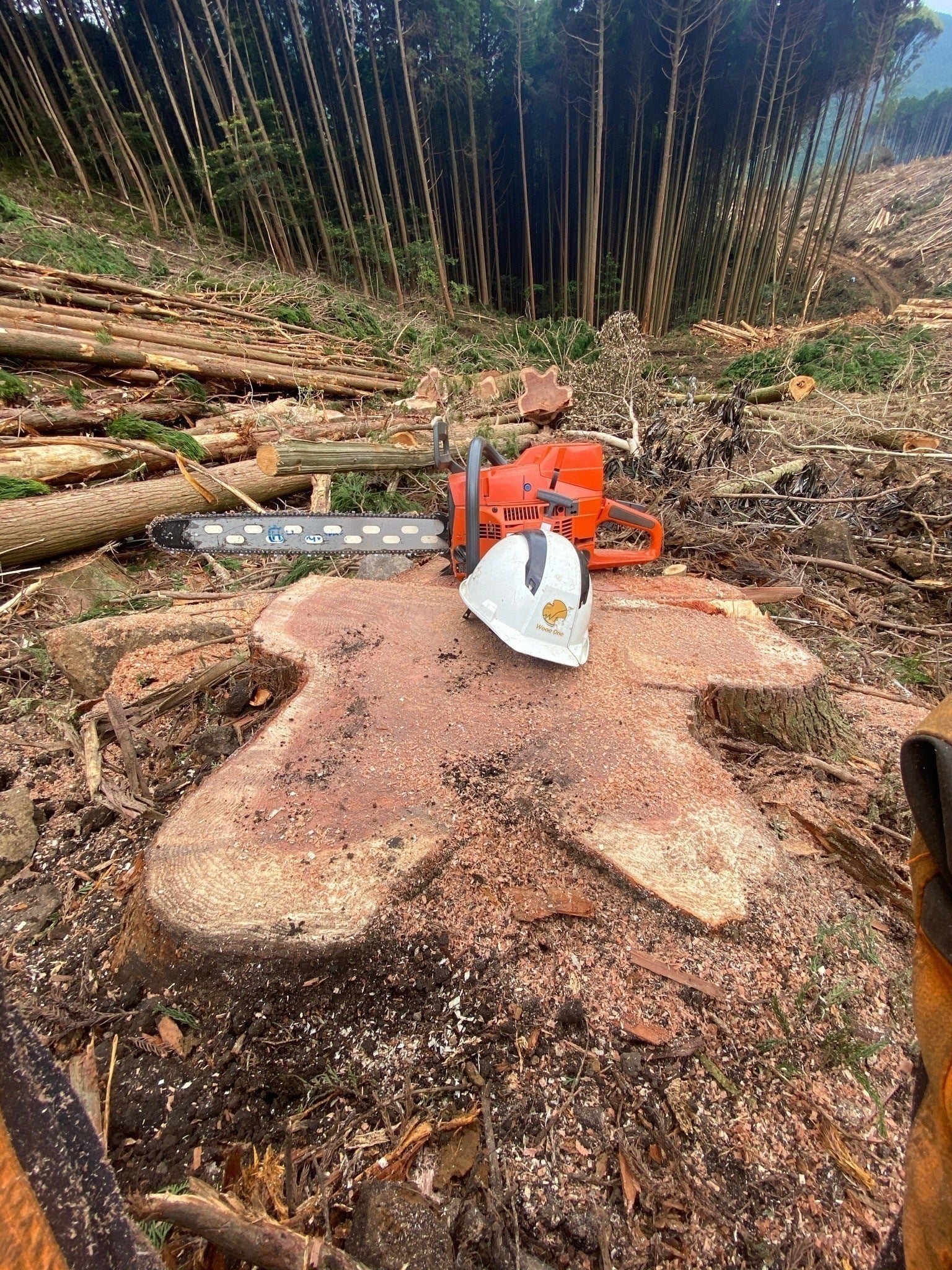 4番目のメイン画像