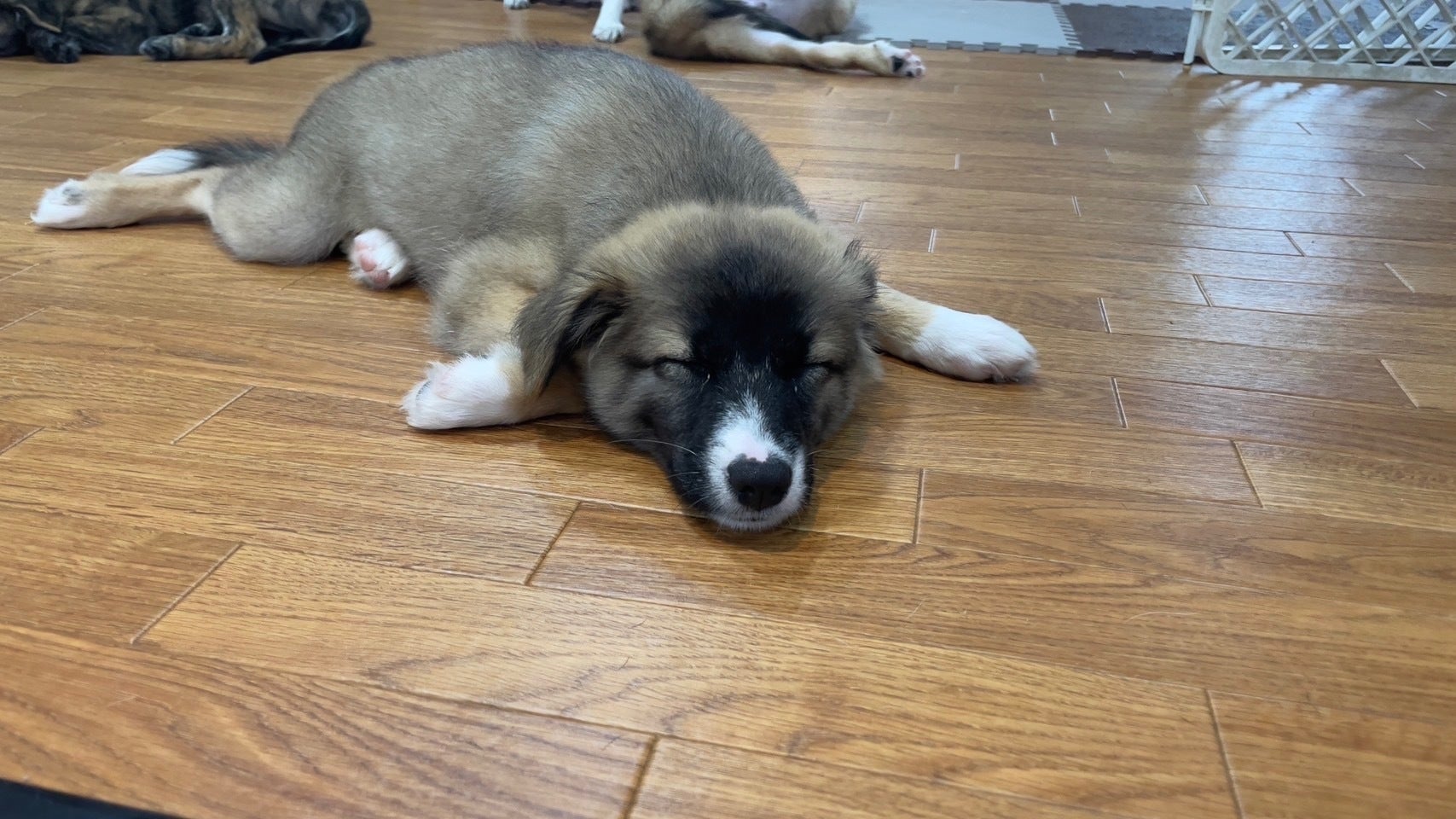 3番目のメイン画像