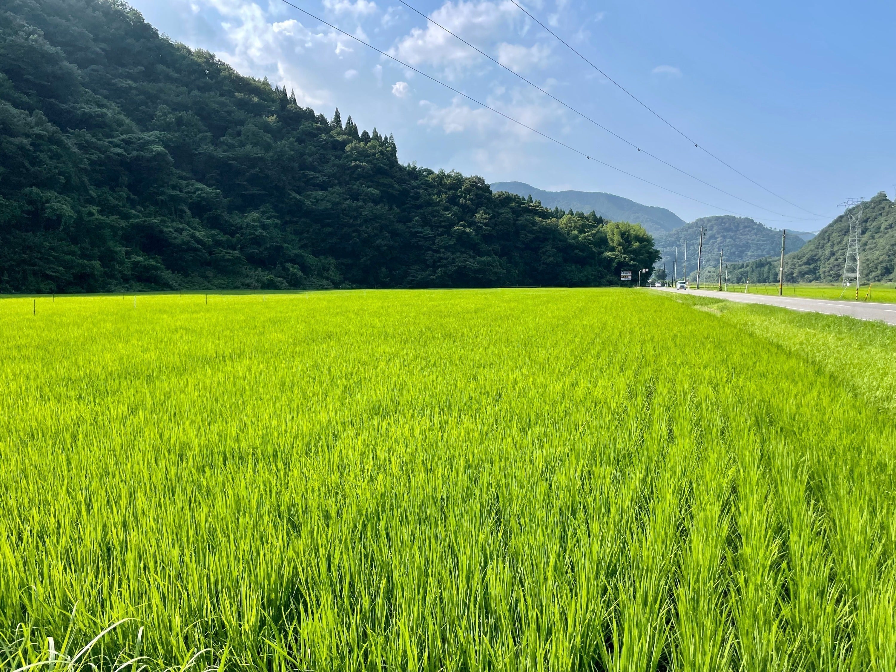 4番目のメイン画像