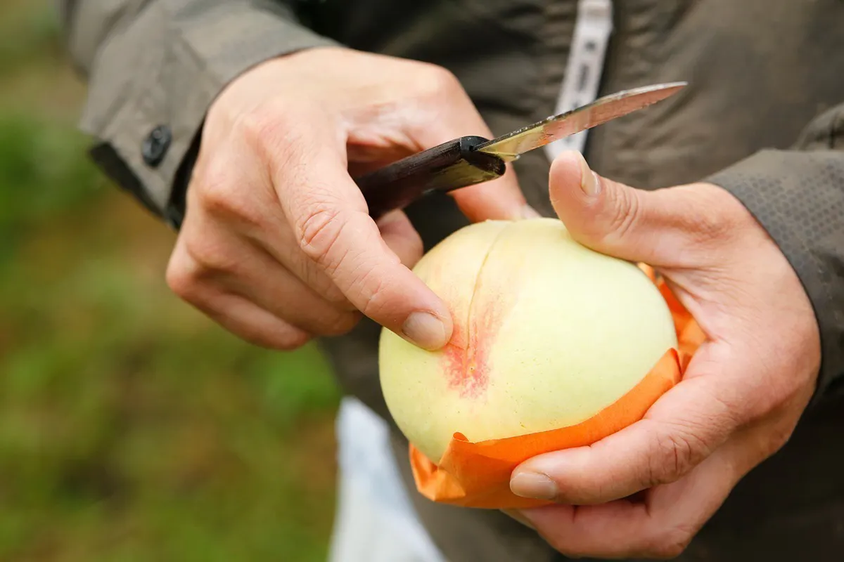 5番目のメイン画像