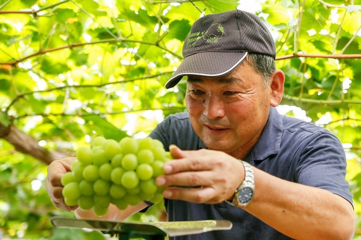 2番目のメイン画像