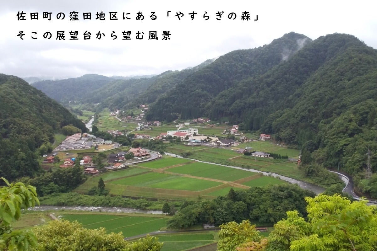 5番目のメイン画像