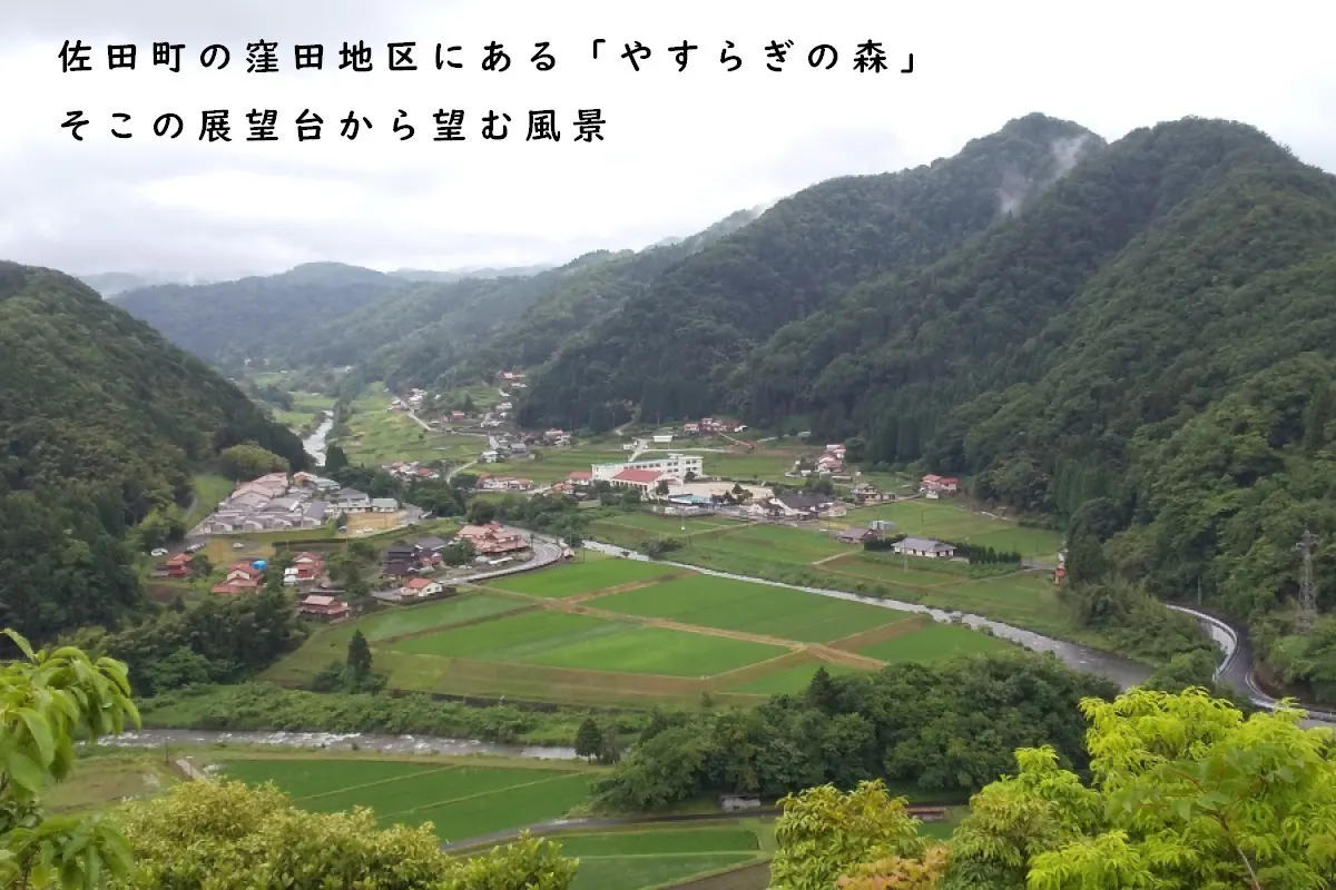 5番目のメイン画像