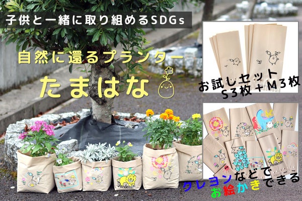プランターや植木鉢を脱プラスチック素材で代替していきたい