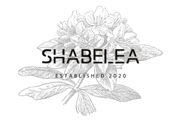 Discordのチャット読み上げBOT「ShabeleA」の運営・改良