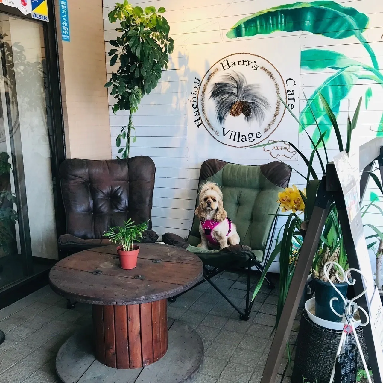 2番目のメイン画像