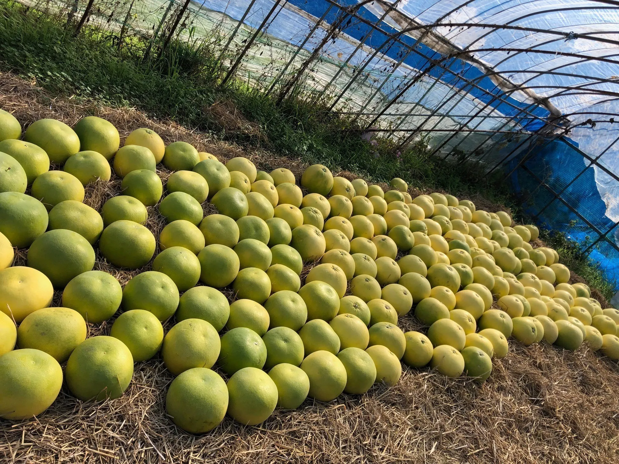 3番目のメイン画像