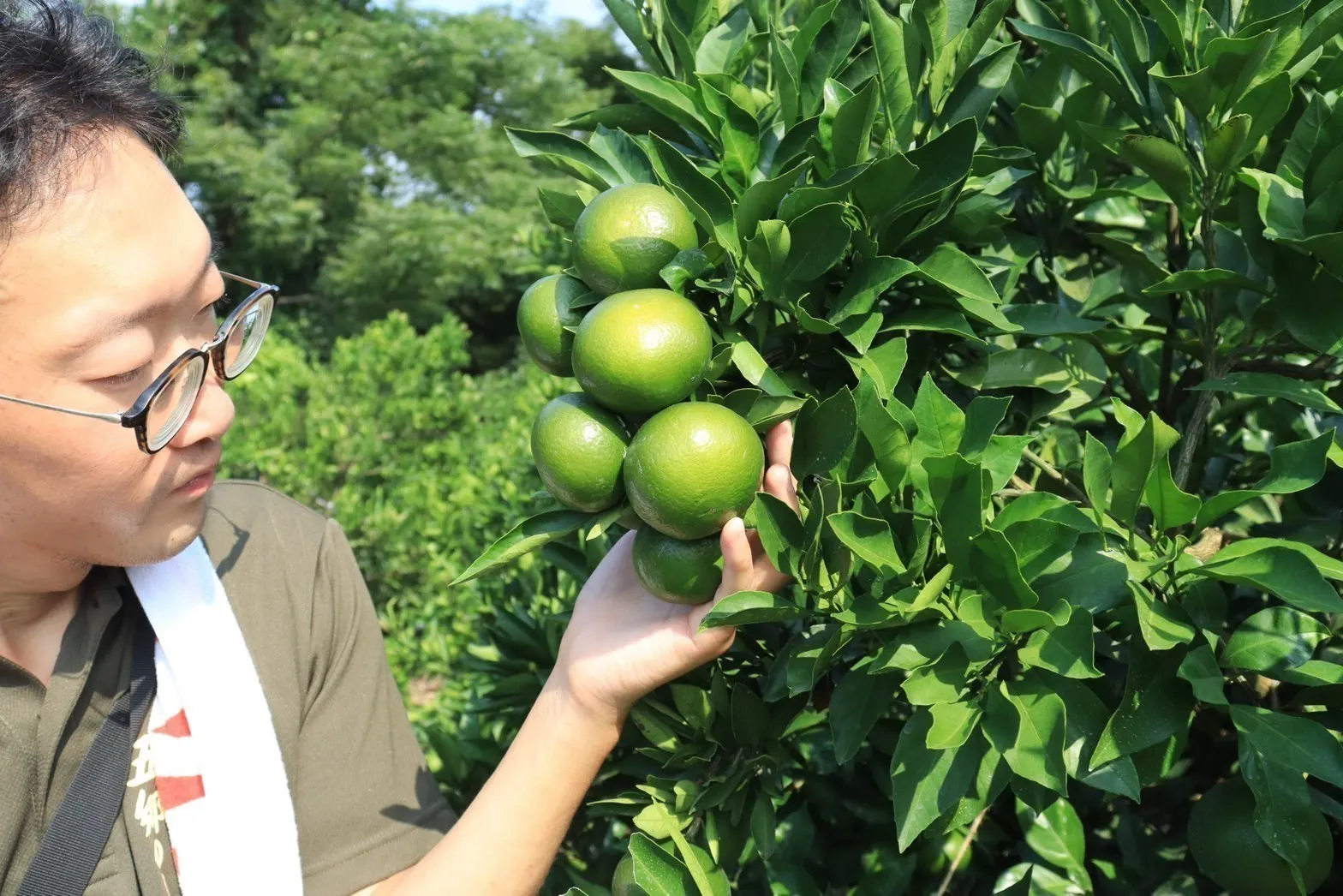 5番目のメイン画像