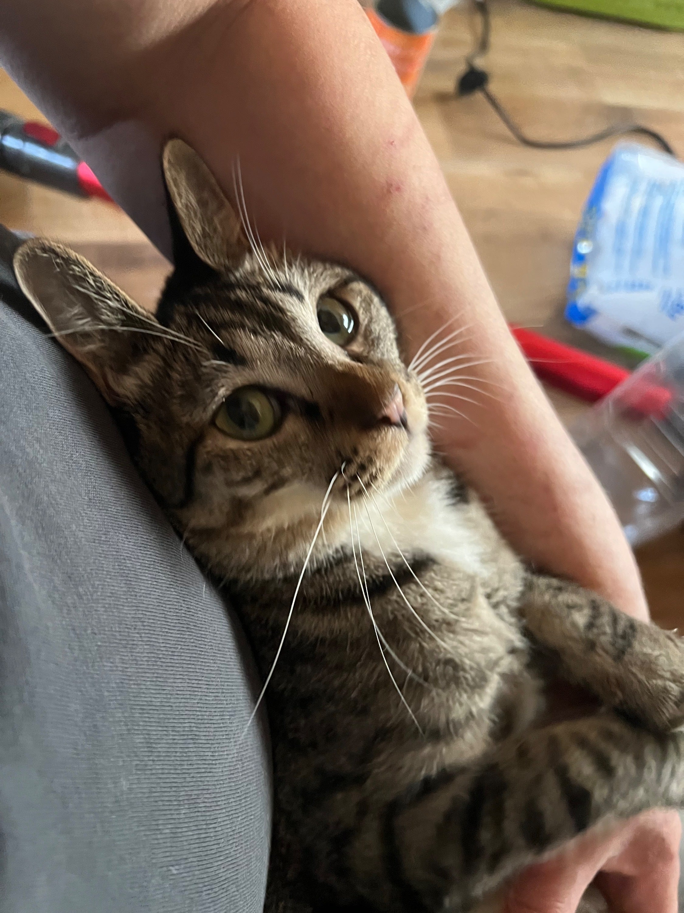 5番目のメイン画像