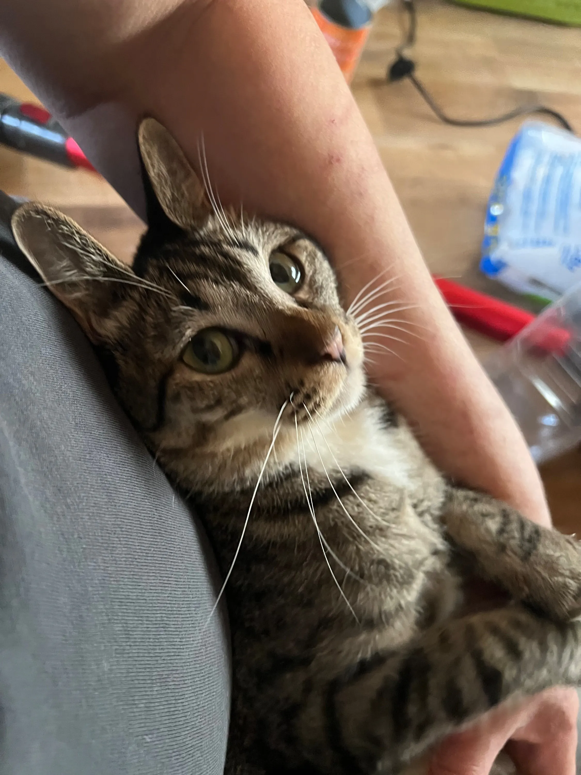 5番目のメイン画像