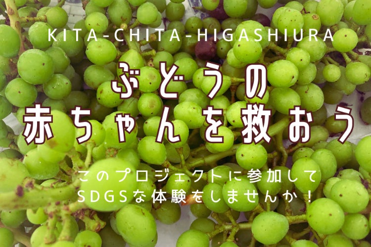ぶどう×プラスチックの開発で、廃棄食材を減らしたい！ - CAMPFIRE 