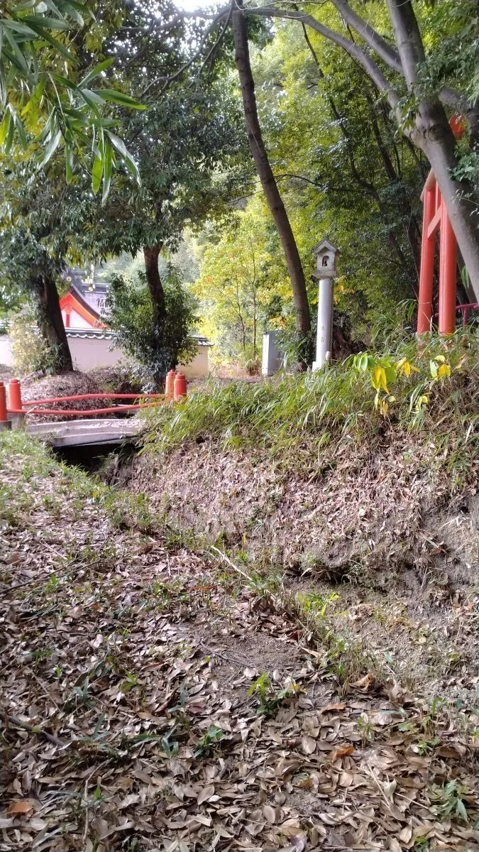 5番目のメイン画像