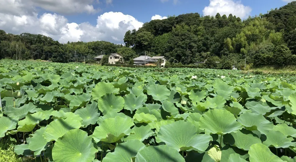 5番目のメイン画像