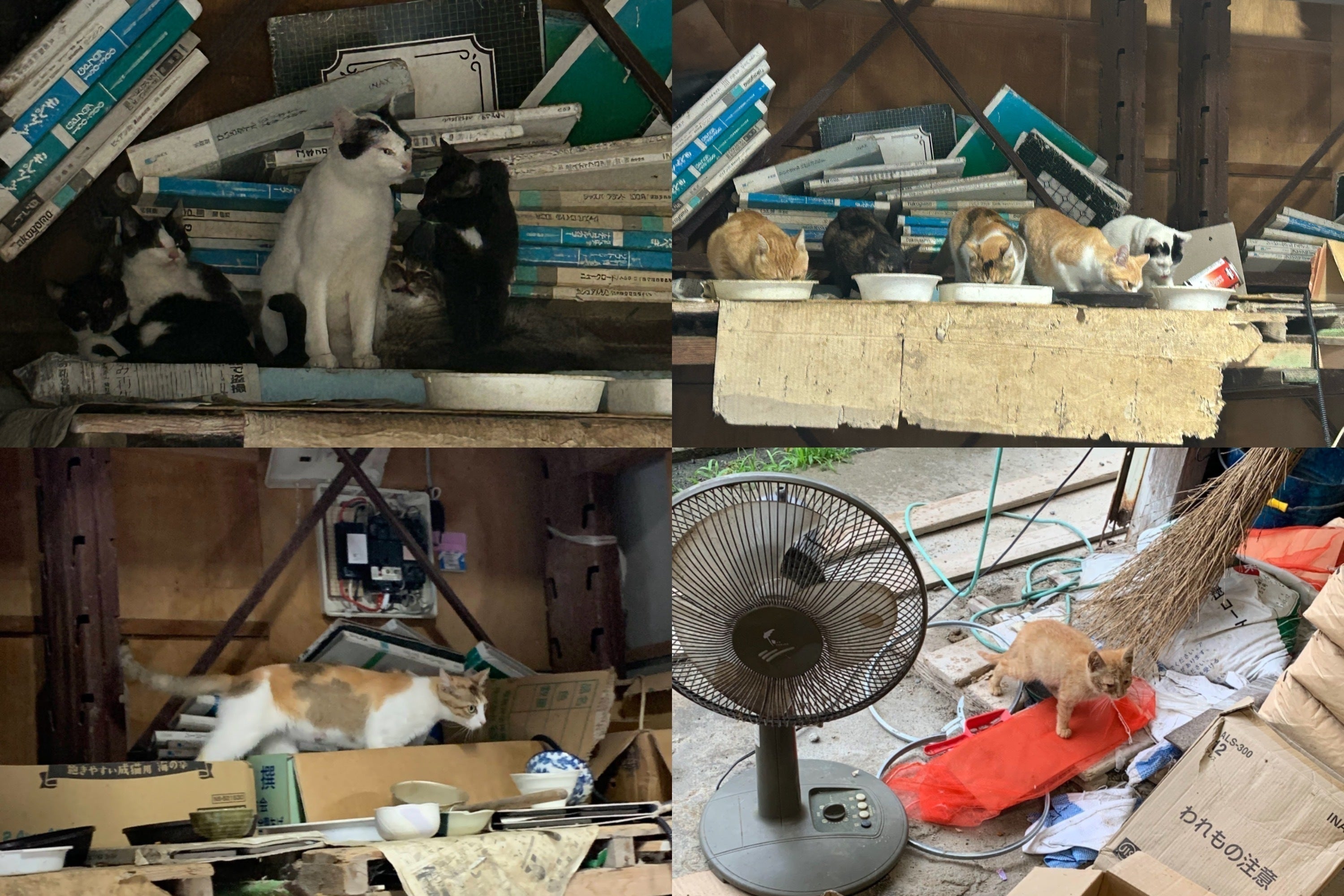 2番目のメイン画像