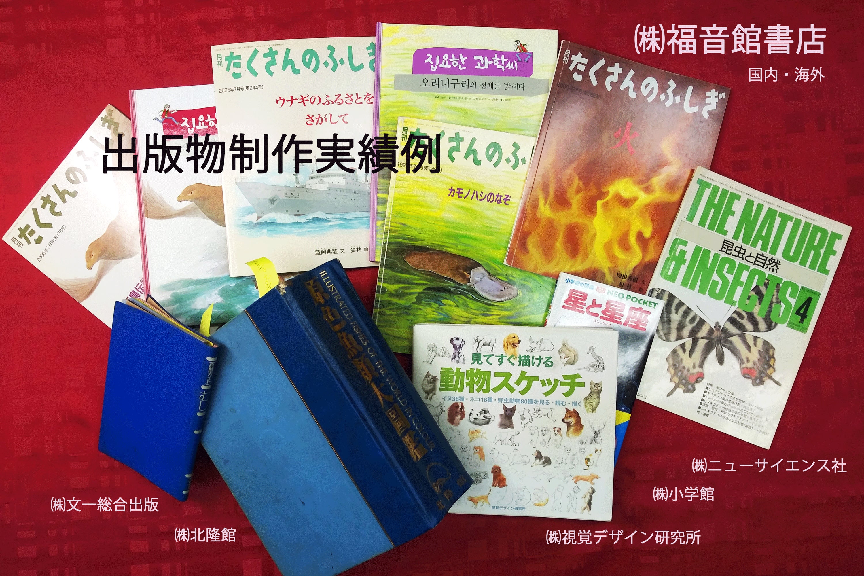 5番目のメイン画像