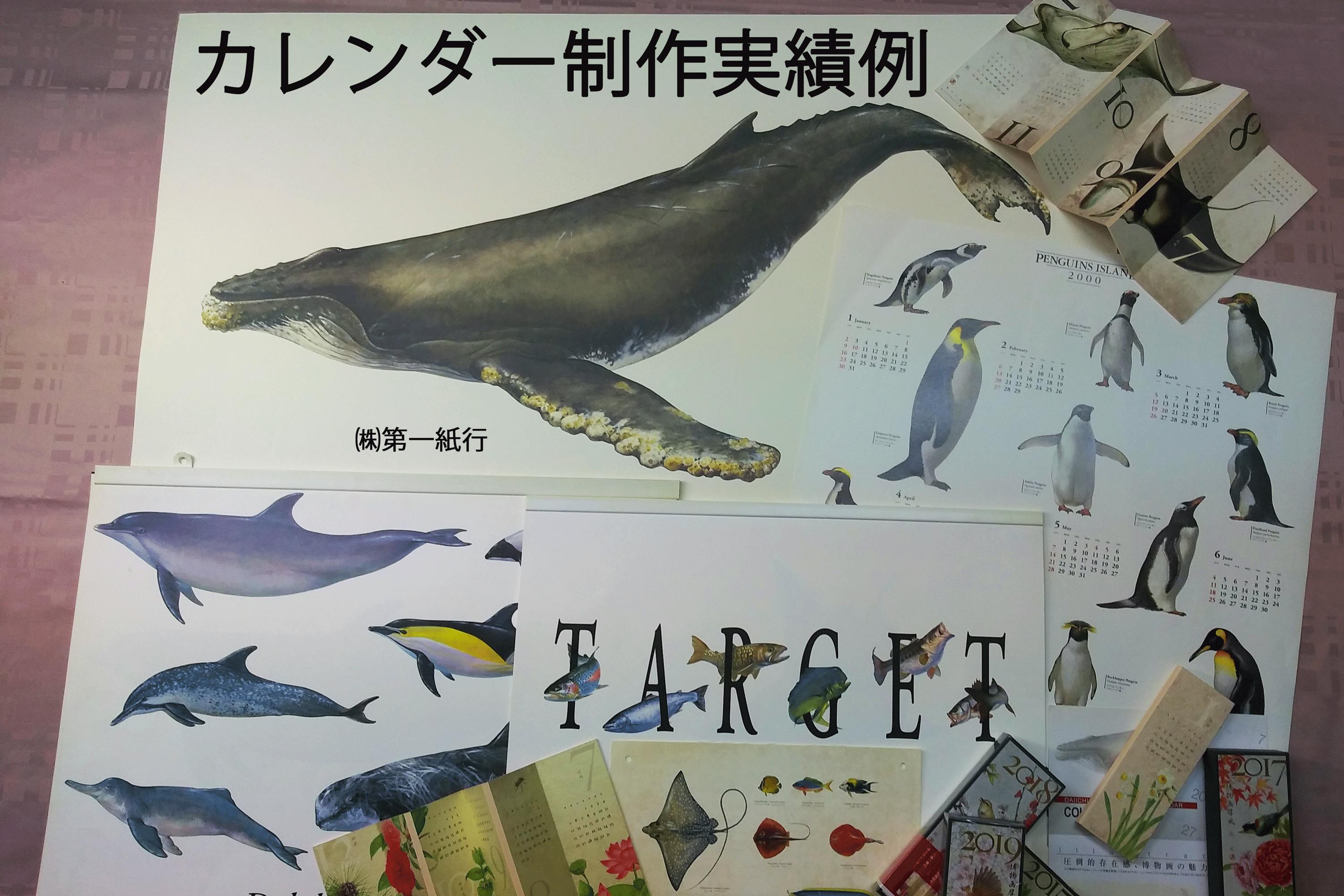 水族館魚類画図譜１００彩の原画制作を完結させる（あと１２種で１００点）