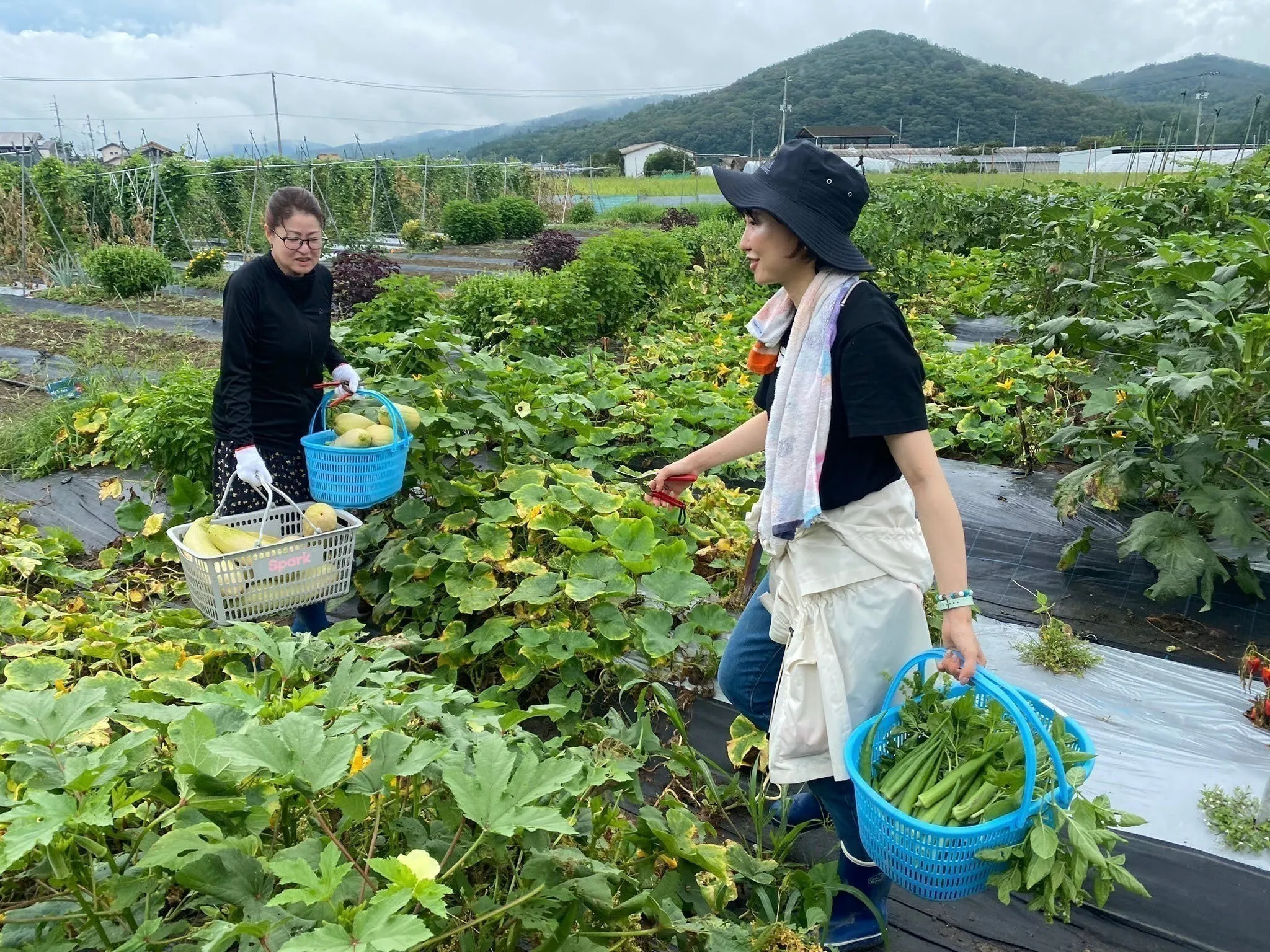 5番目のメイン画像