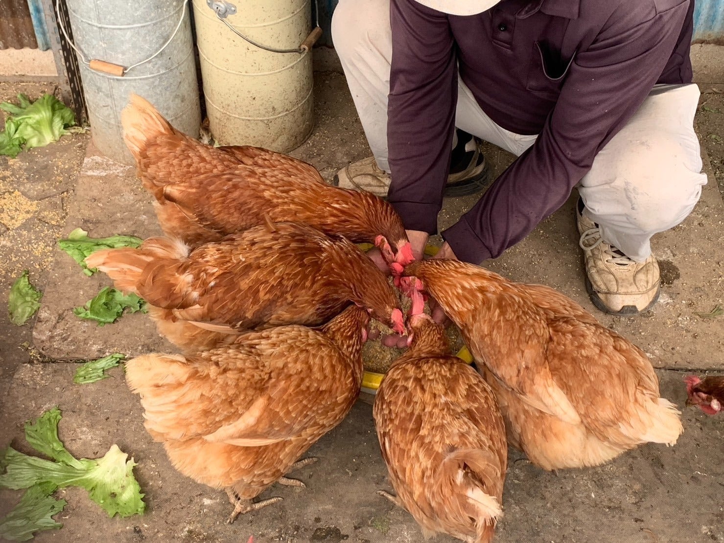 2番目のメイン画像