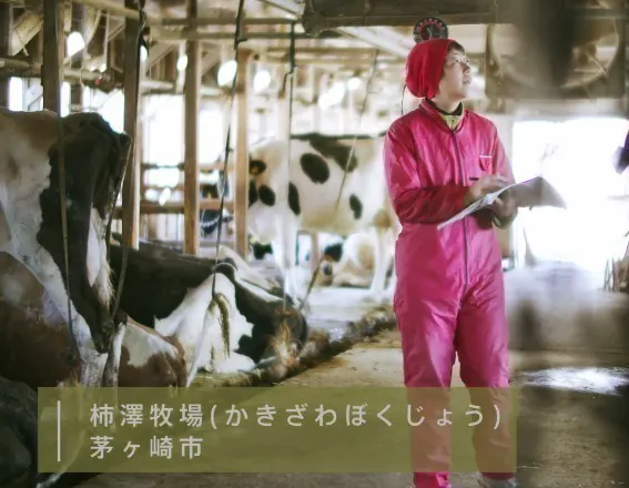 3番目のメイン画像